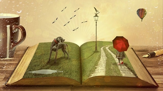 Image pour le genre : Autofiction.